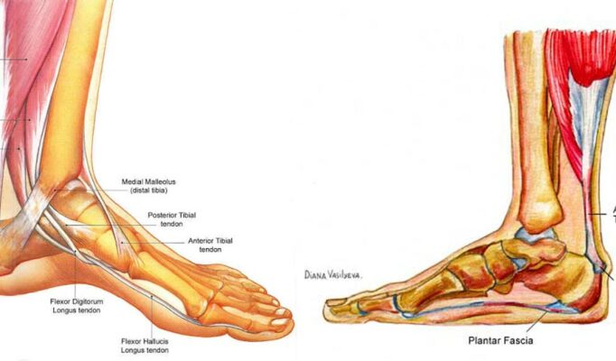 Diagnoza płaskostopia - Leczenie w Warszawie